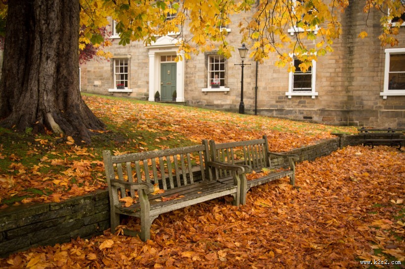 秋季落叶风景图片