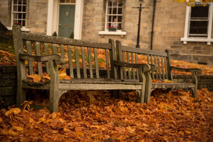 秋季落叶风景图片