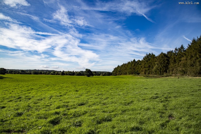 草甸图片
