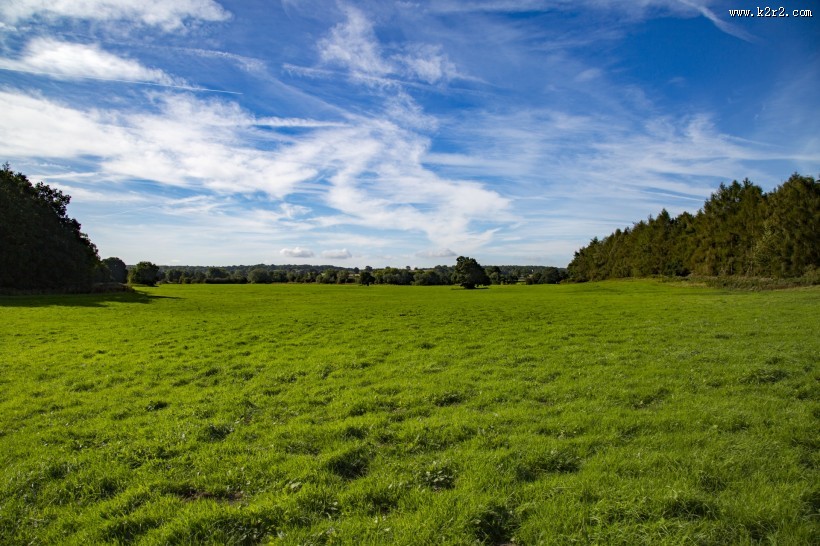 草甸图片