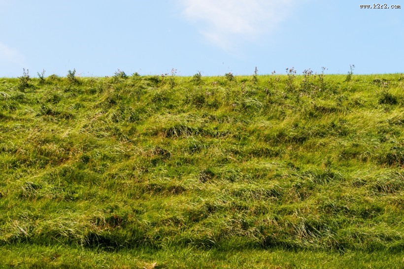 夏日草地风景图片
