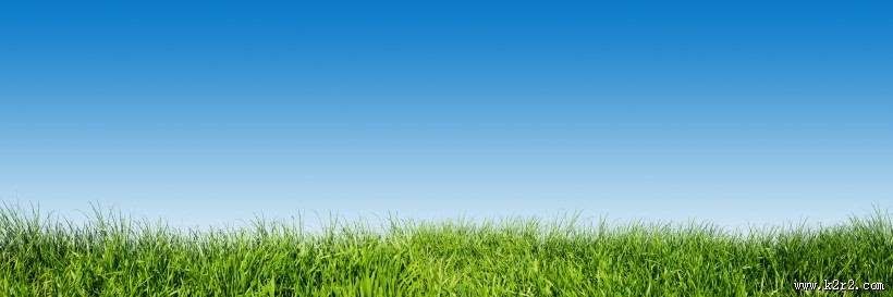 春天草地景色图片