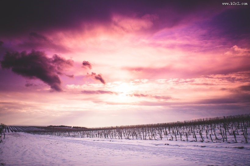 大自然的雪图片