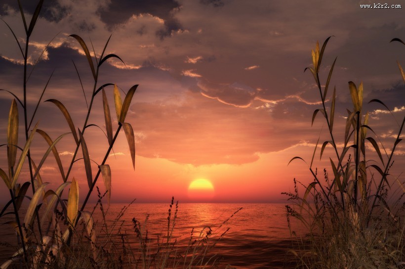 黄昏海滩风景图片