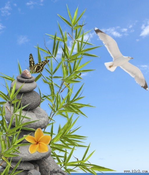 鹅卵石竹子景色图片大全