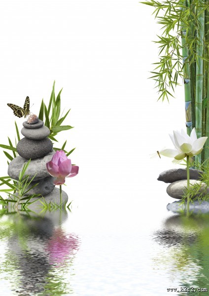 鹅卵石竹子景色图片大全