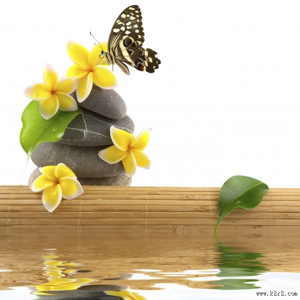 鹅卵石竹子景色图片大全