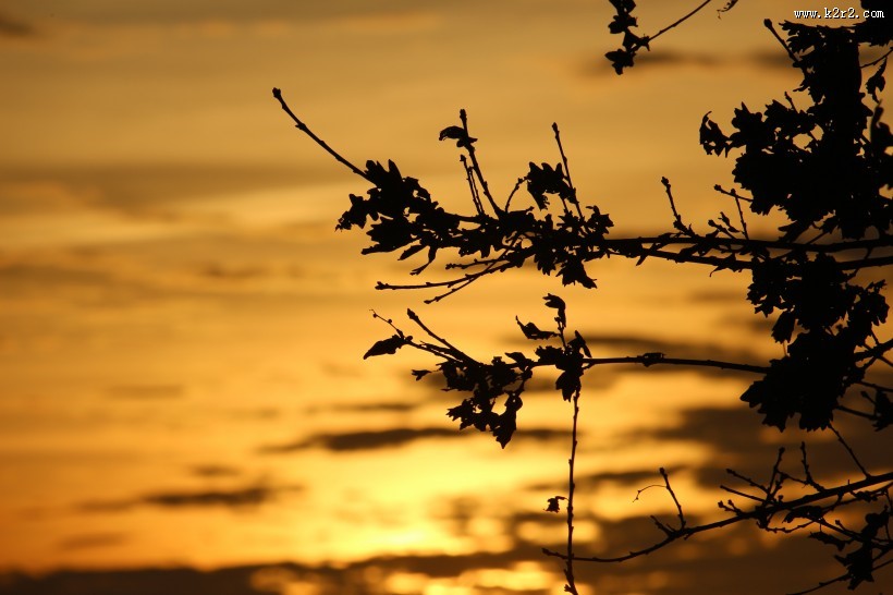 傍晚的天空图片