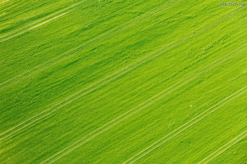 绿色草场图片