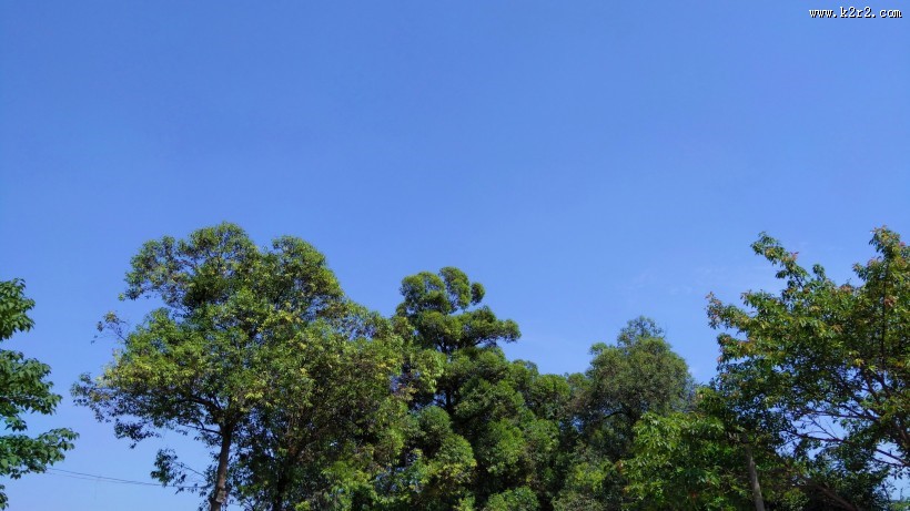 白云蓝天风景图片