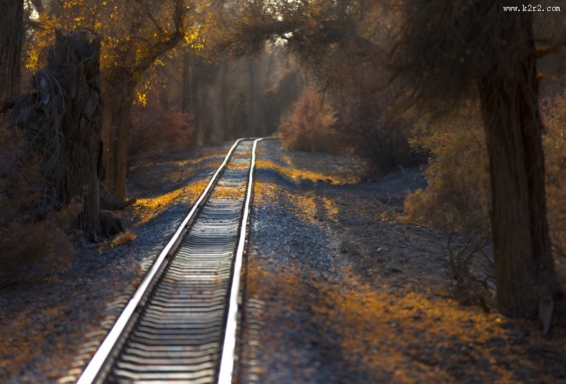 静谧的风景图片