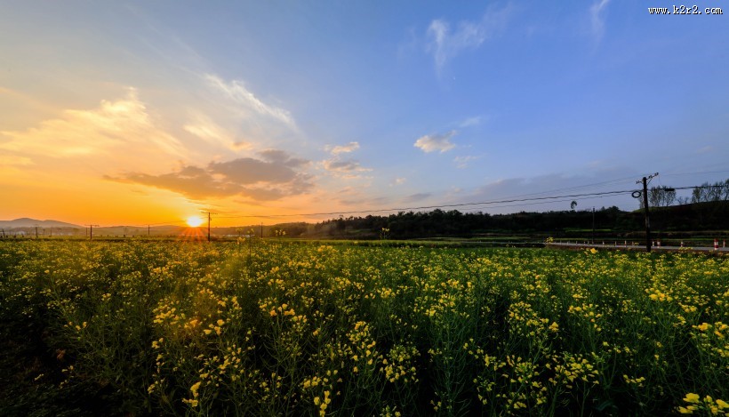 美丽的乡村风景图片