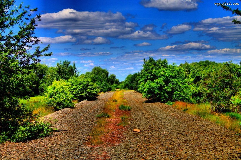 早晨的田野风景图片