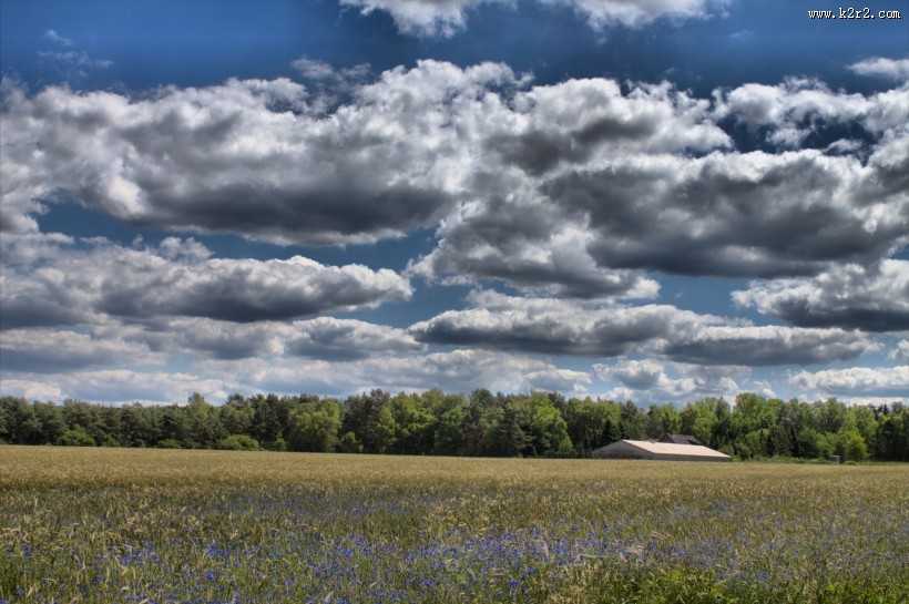 早晨的田野风景图片