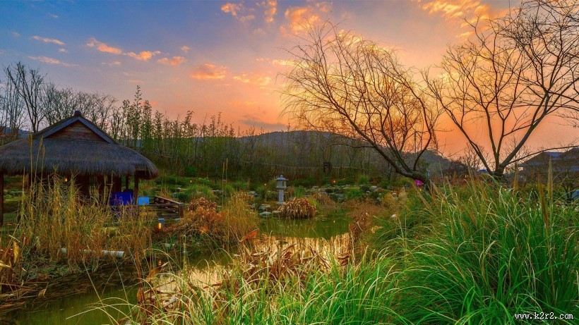 初春摄影风景图片