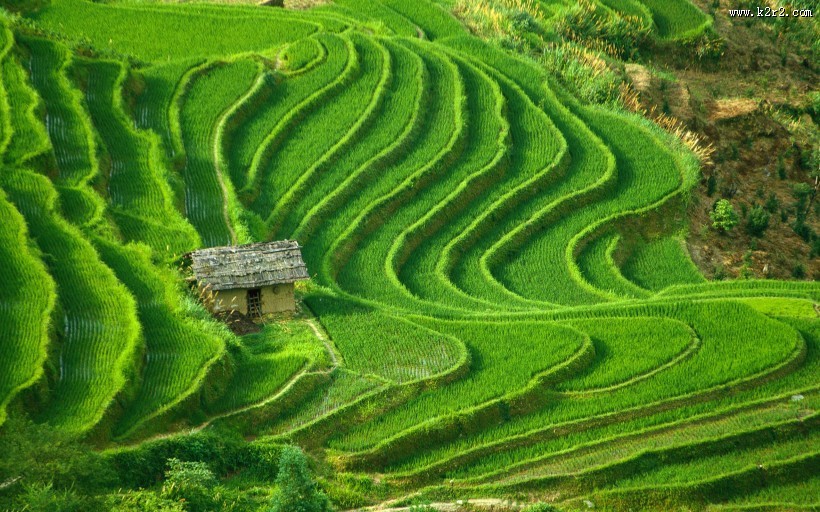 梯田风光图片