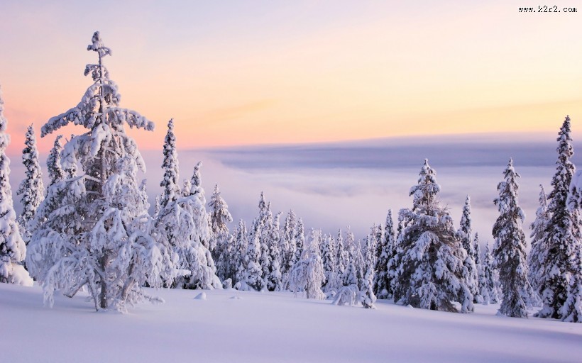 冬季秀丽雪景图片
