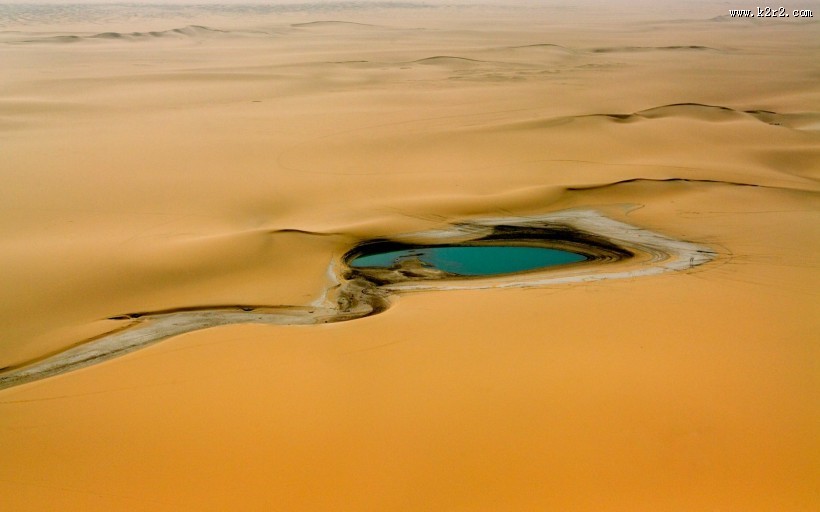 沙漠绿洲美景图片