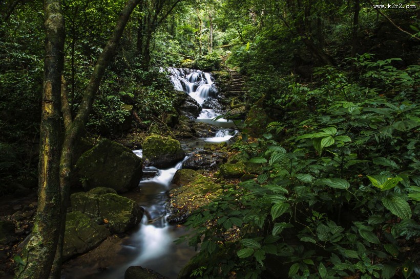 清澈的溪流图片