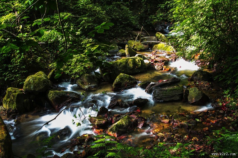 清澈的溪流图片