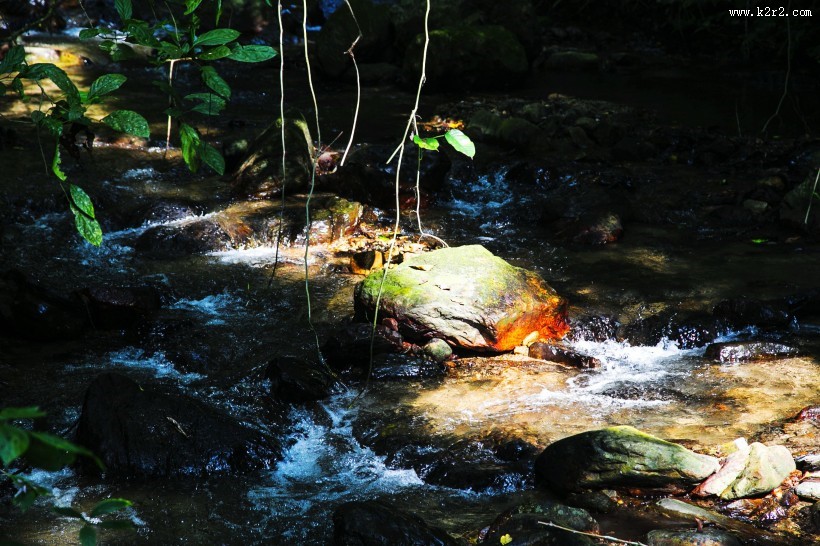 清澈的溪流图片
