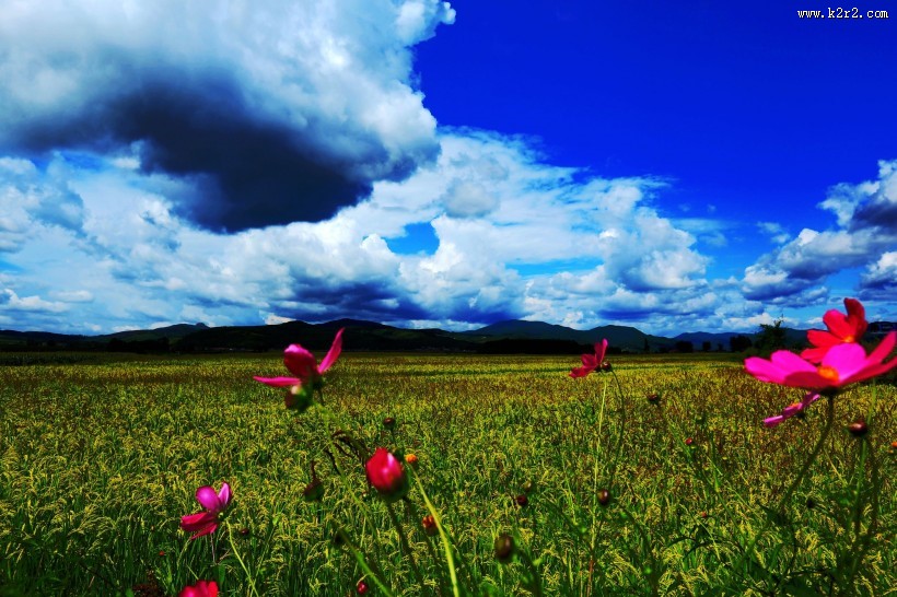 风雨前的天空乌云图片