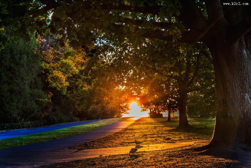 美丽的秋季风景图片