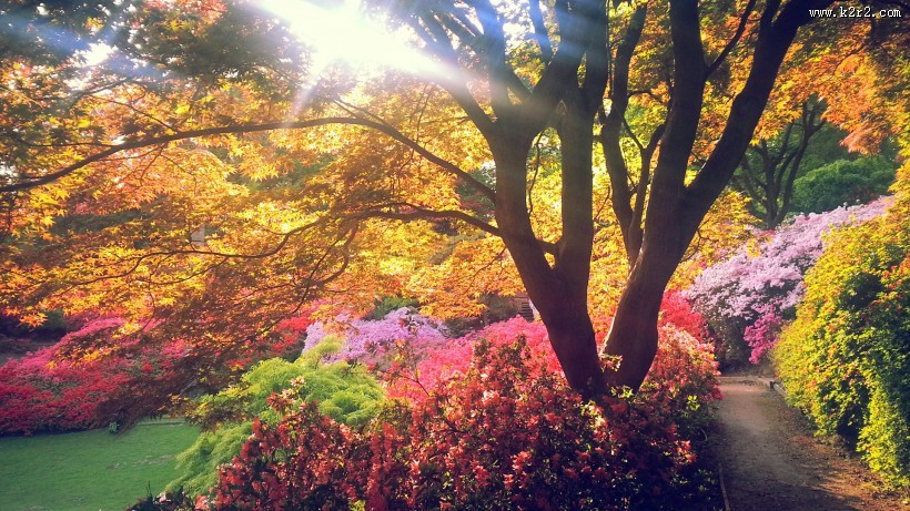 唯美田园风光图片