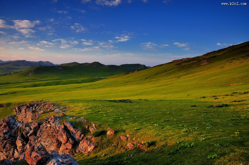夏天的草原风景图片