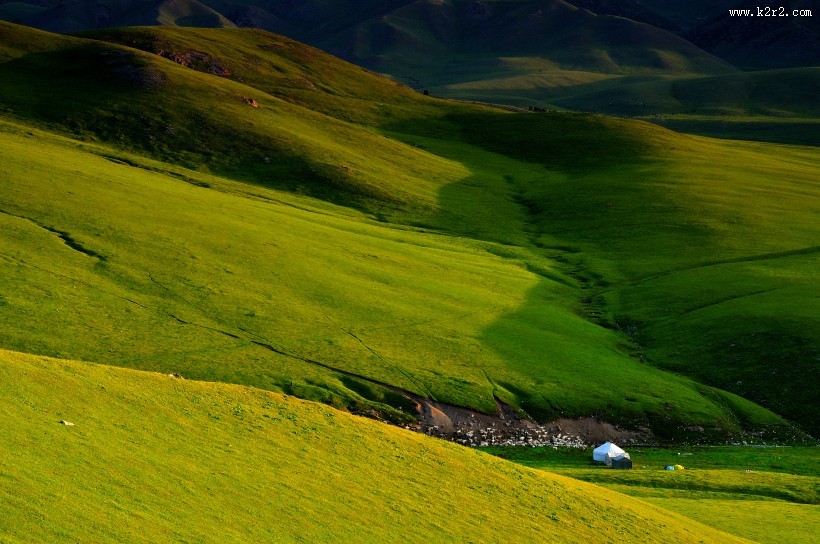 夏天的草原风景图片