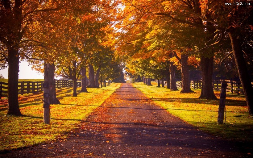 唯美的秋冬景色图片