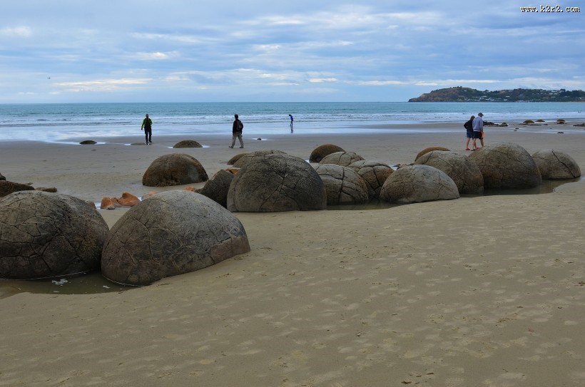 新西兰摩拉基大圆石图片