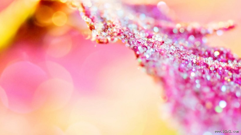 植物上的露珠图片