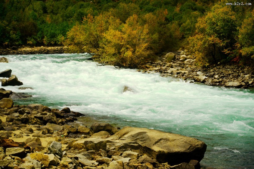 尼洋河风光图片