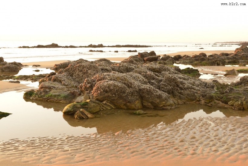 海滩礁石图片