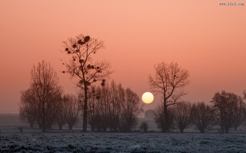 非洲自然景色图片大全