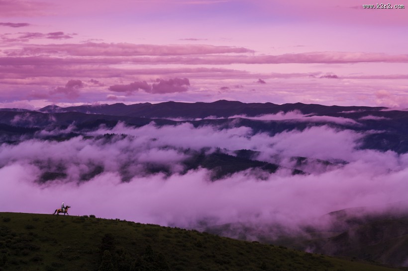 若尔盖草原风光图片