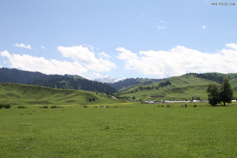 那拉提草原风光图片