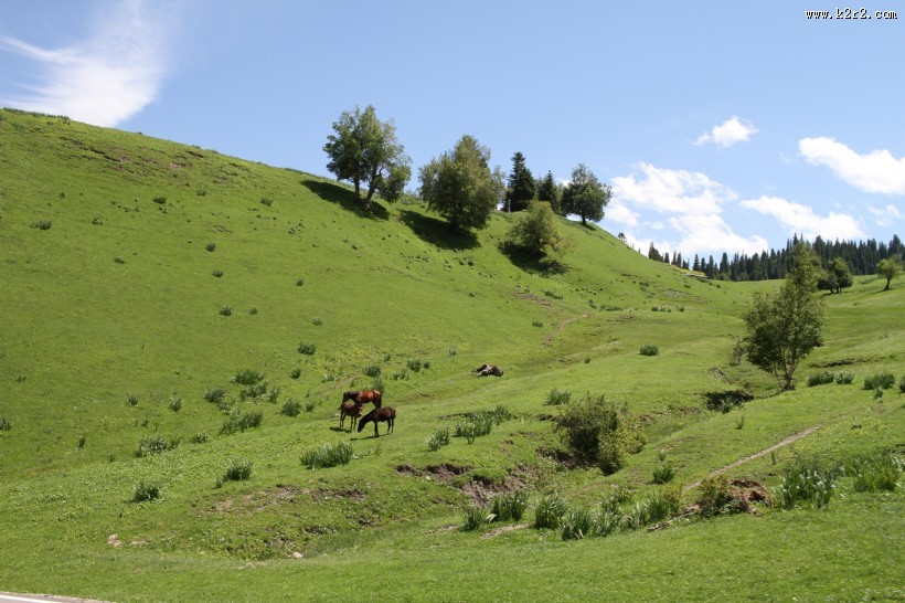 那拉提草原风光图片