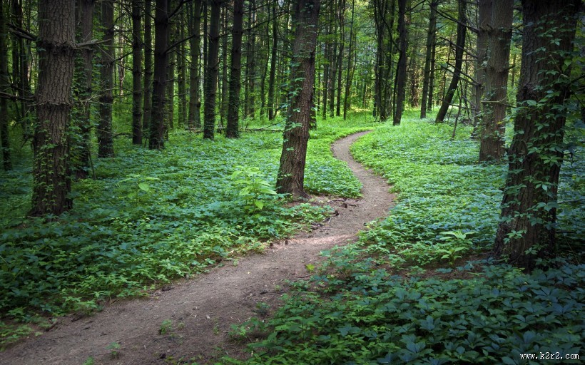 唯美小路风光图片