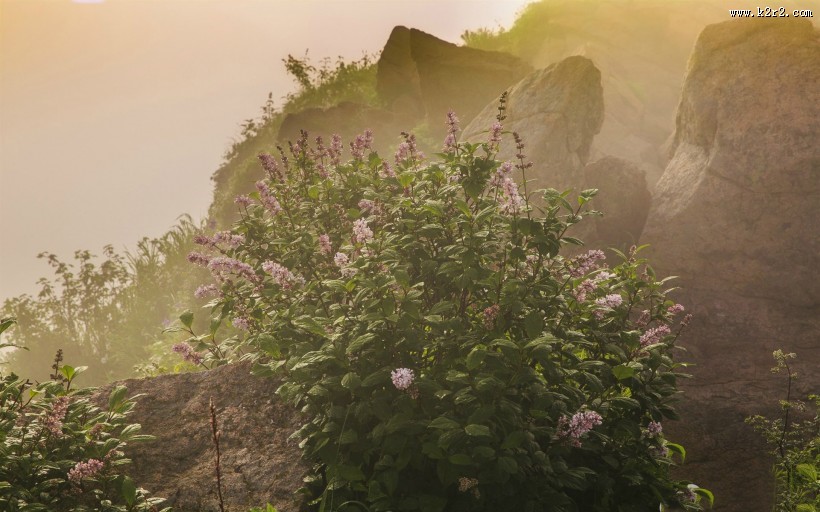 美丽的雾灵山图片大全