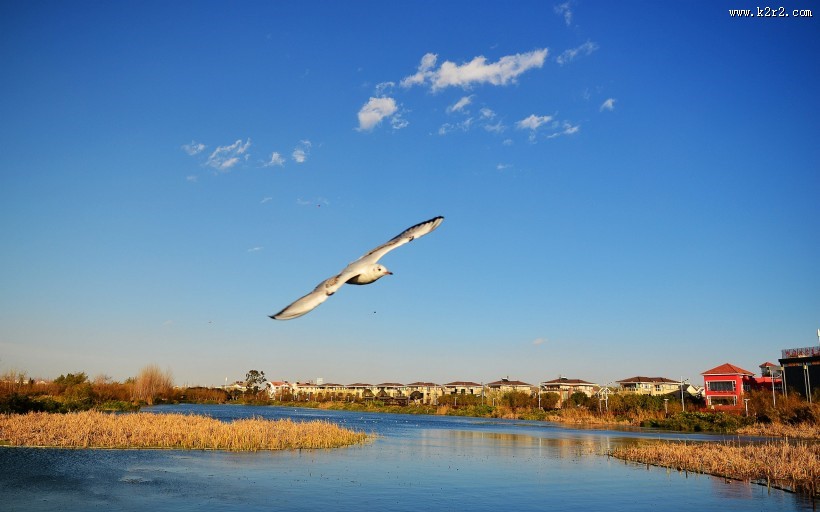 暮色中的滇池图片大全