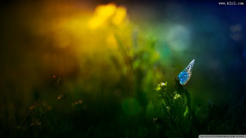 清晨第一缕阳光图片大全