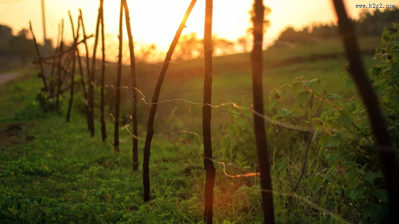 清晨第一缕阳光图片大全