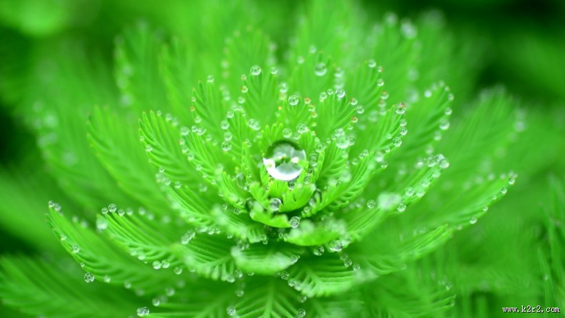 绿色清新自然风景图片大全