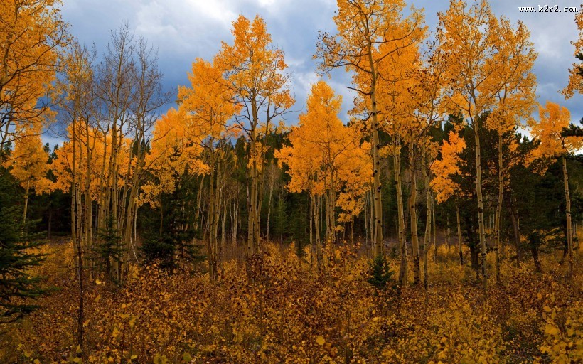 简约的乡村风景图片