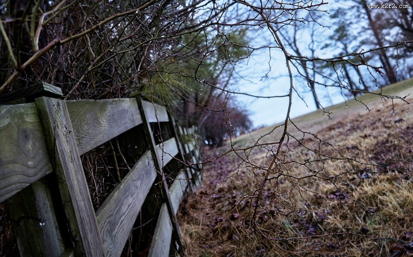 简约的乡村风景图片