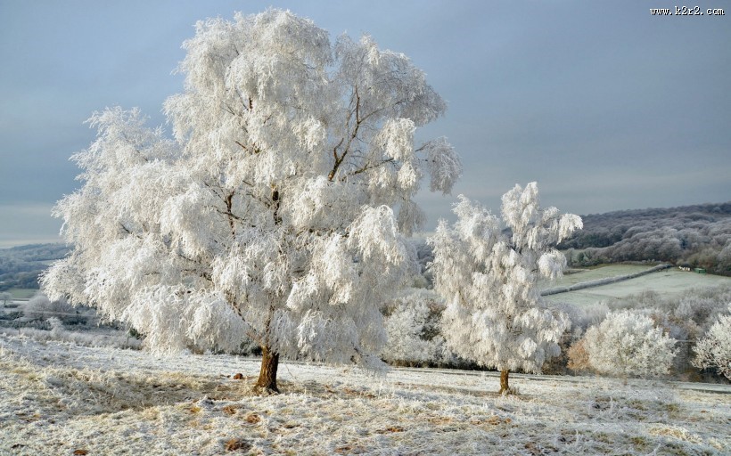 唯美的冬季雪景图片大全