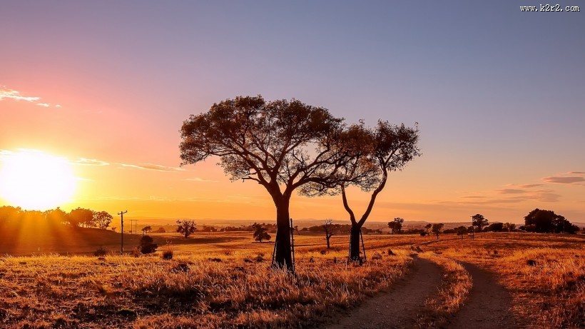 唯美的秋叶风景图片