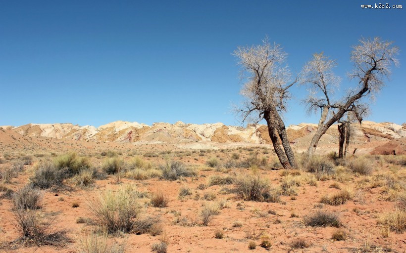 沙漠风景图片大全